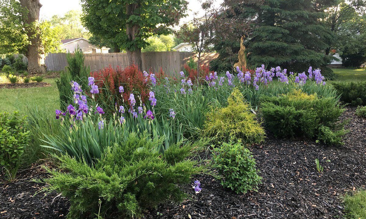 Photo of Outdoor in Manistee