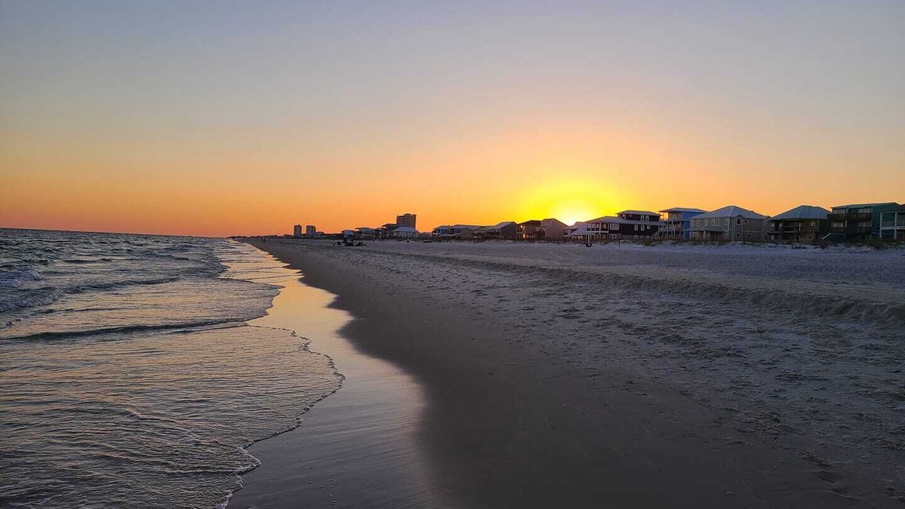 Photo of Others in Gulf Shores