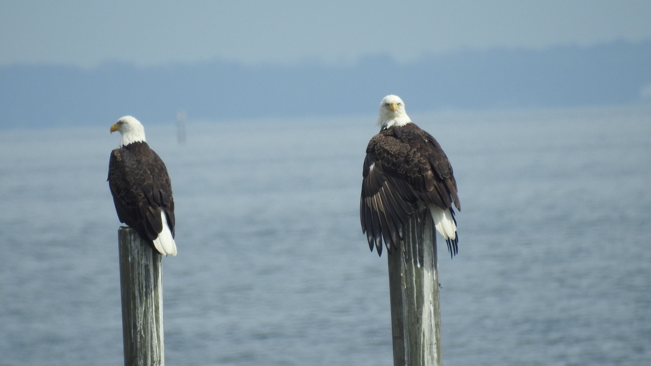 Photo of Others in Theodore