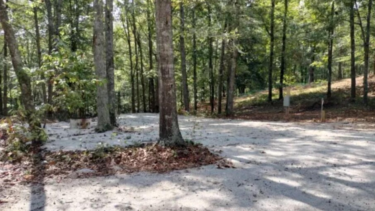 Photo of Outdoor in Ashland