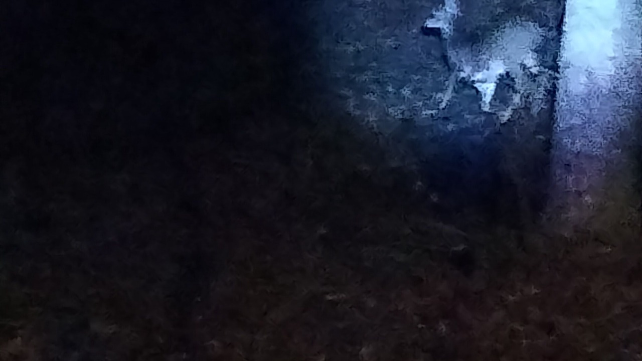 Photo of Outdoor in Ashland