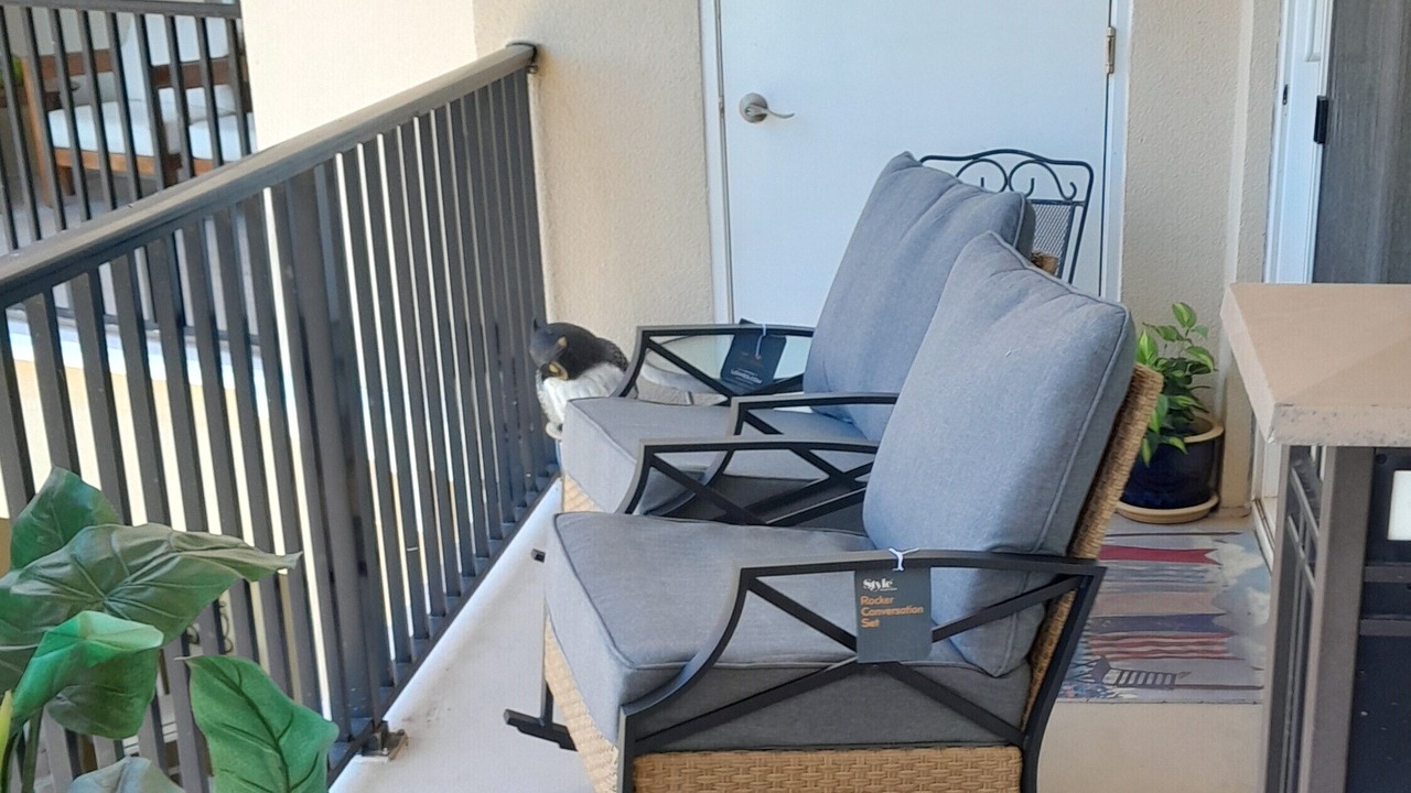 Photo of Outdoor in Henderson Point