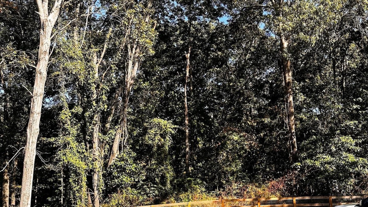 Photo of Outdoor in Stone Mountain