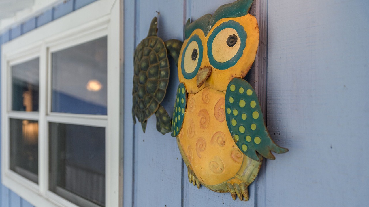 Photo of Others in Tybee Island