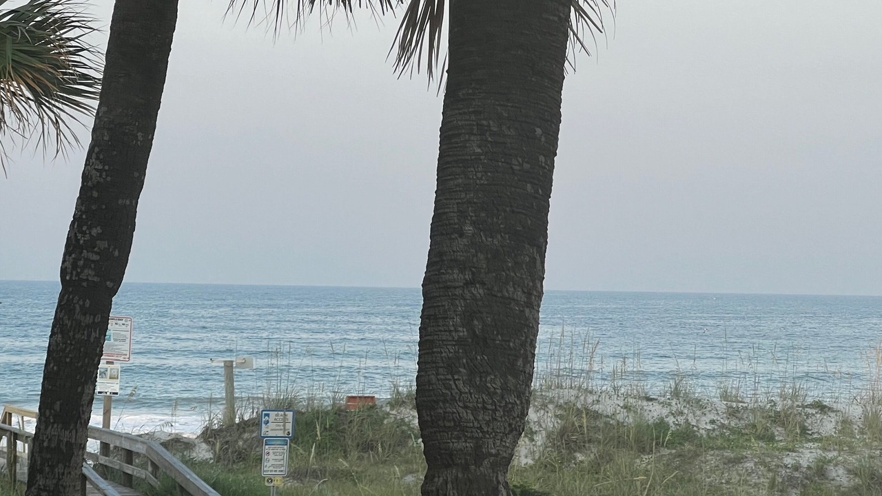 Photo of Outdoor in Jacksonville Beach