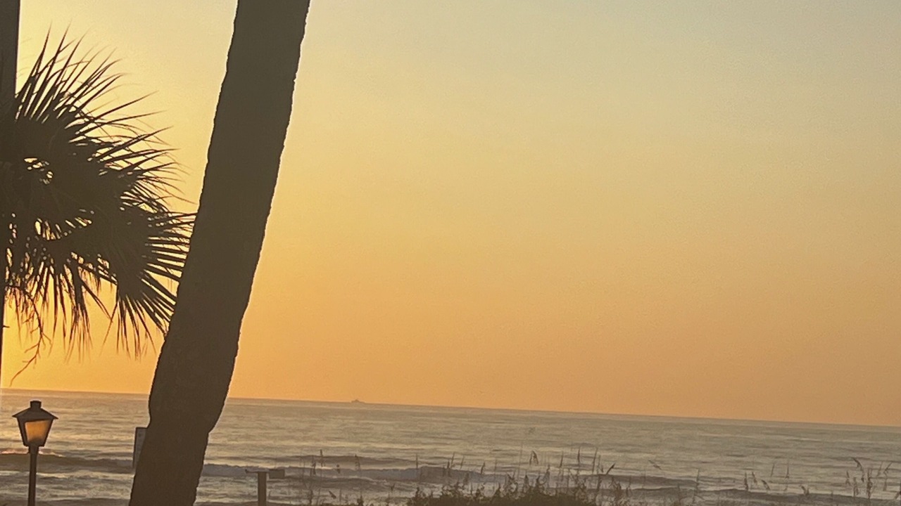 Photo of Others in Jacksonville Beach