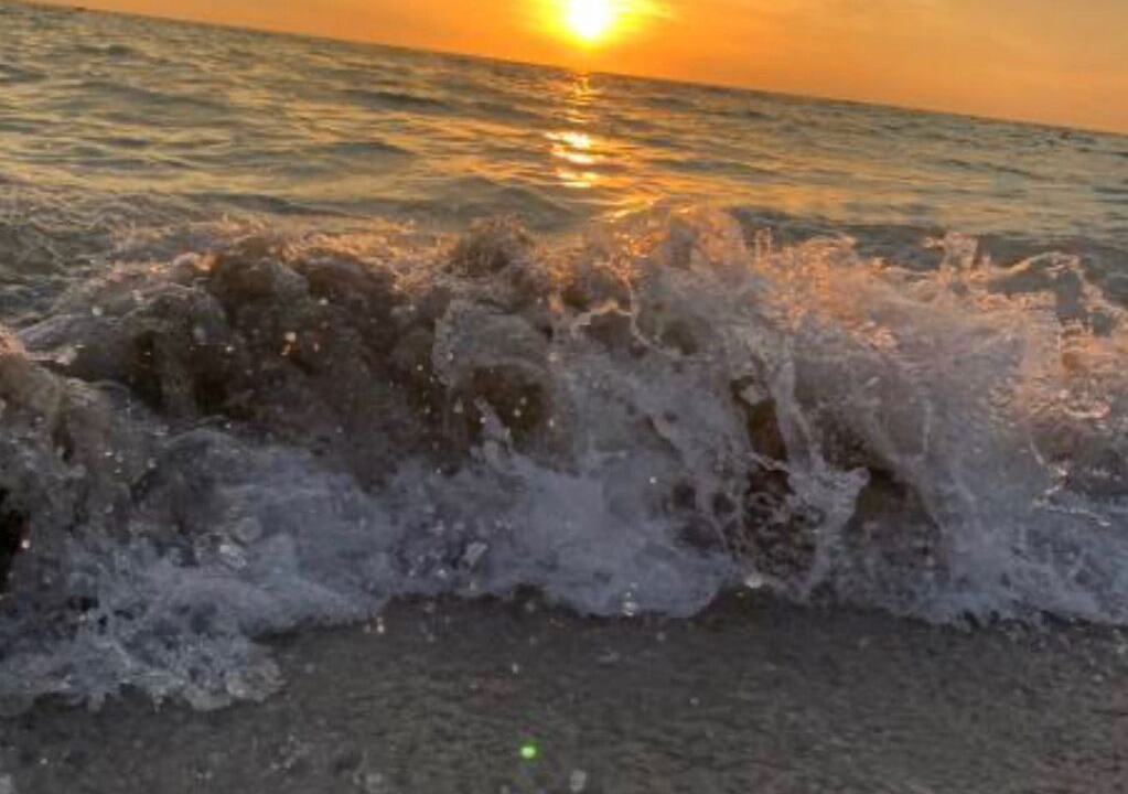 Photo of Others in Jacksonville Beach