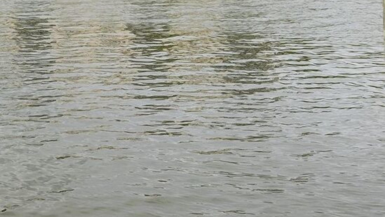 Photo of Others in New Smyrna Beach