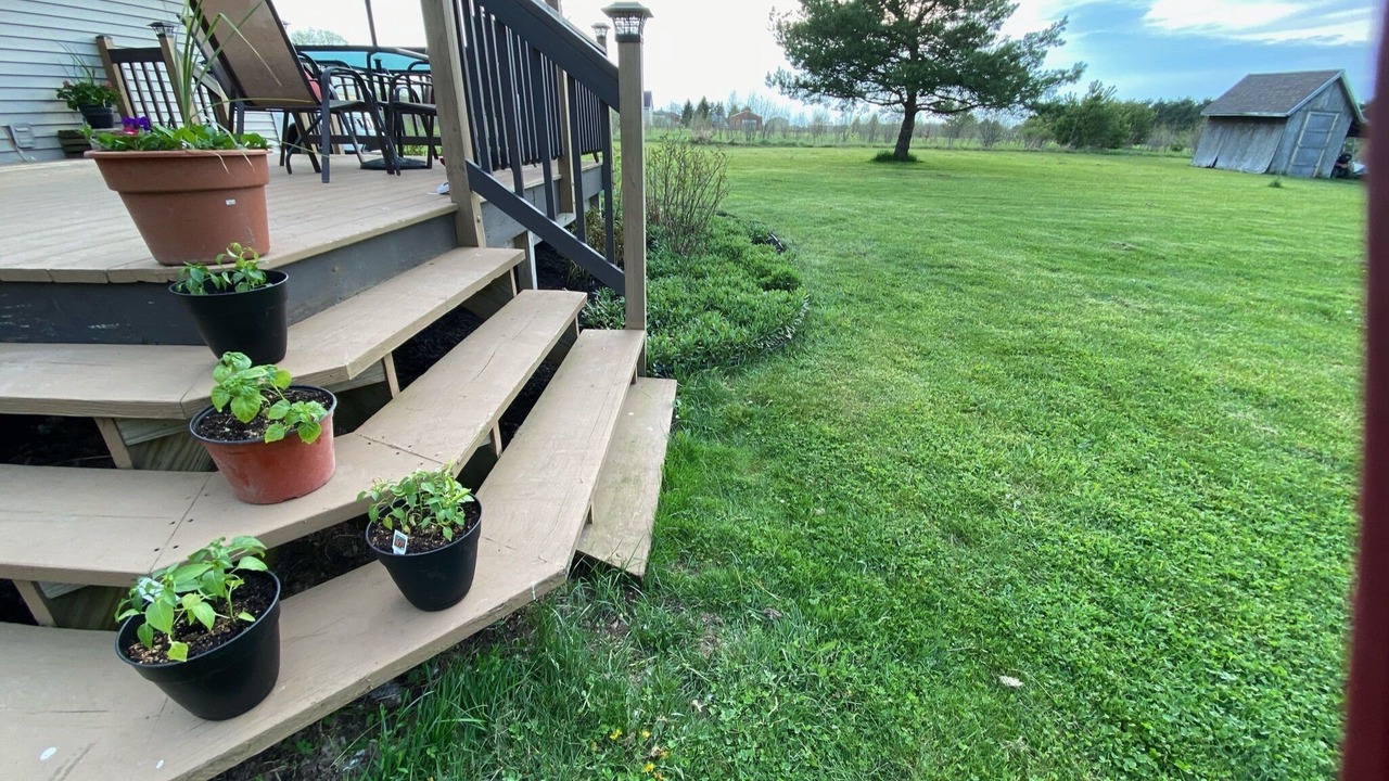 Photo of Outdoor in Cadillac