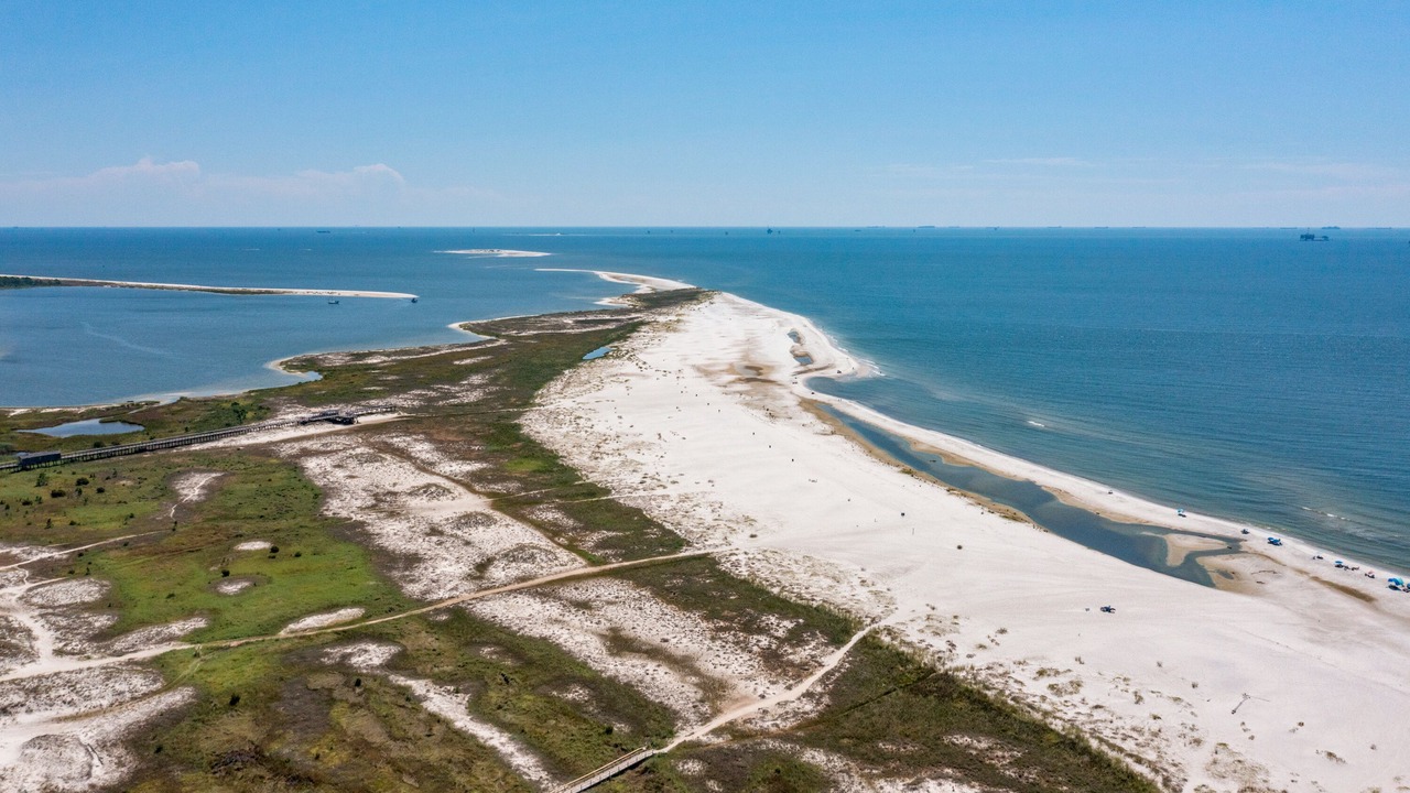 Photo of Others in Dauphin Island