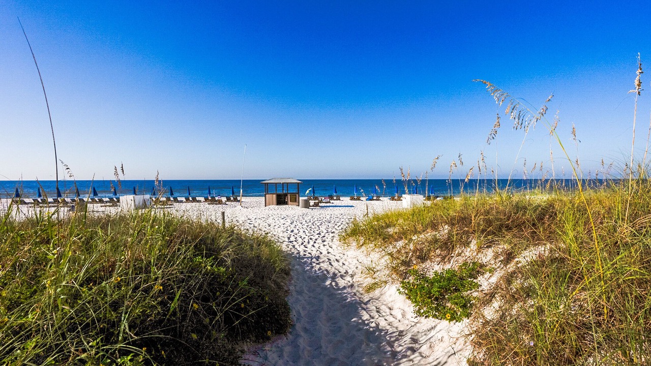 Photo of Others in Holiday Beach