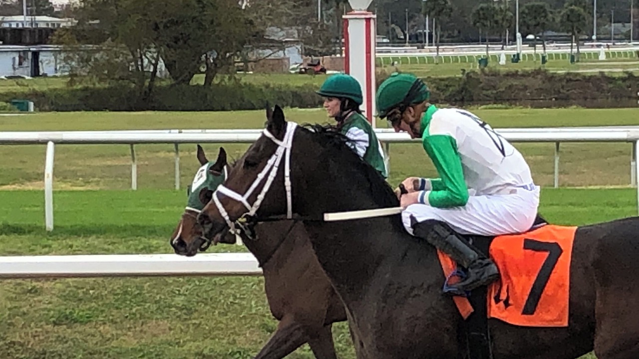 Photo of Others in Fairgrounds