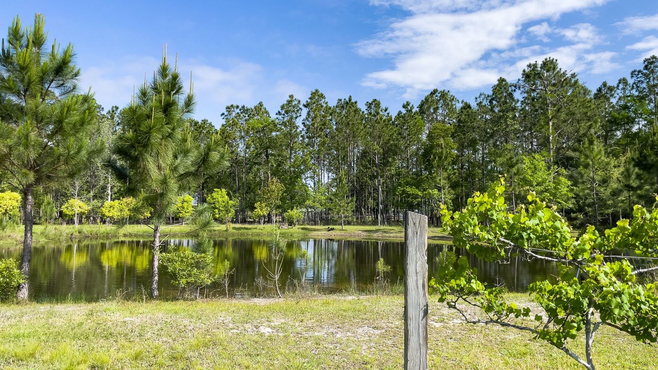 Photo of Outdoor in Pensacola