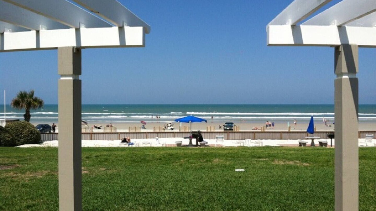 Photo of Others in New Smyrna Beach