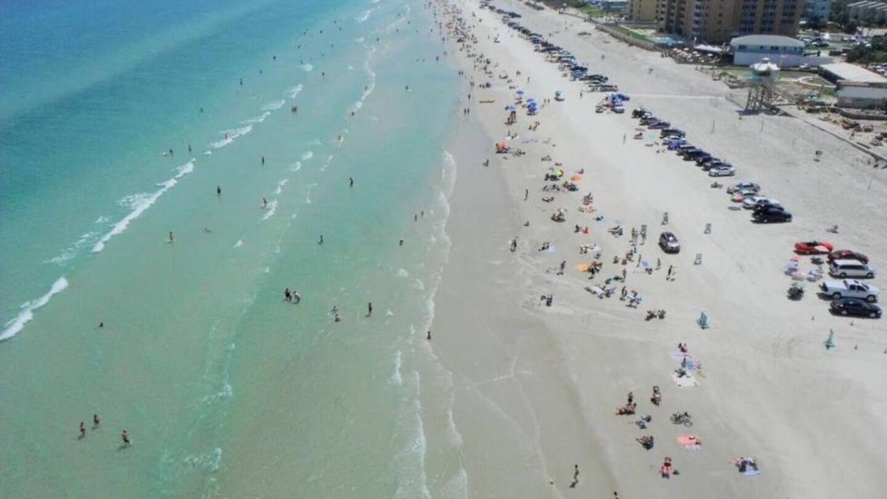 Photo of Others in New Smyrna Beach
