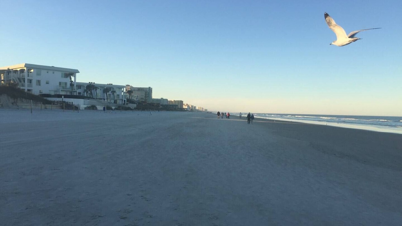 Photo of Others in New Smyrna Beach