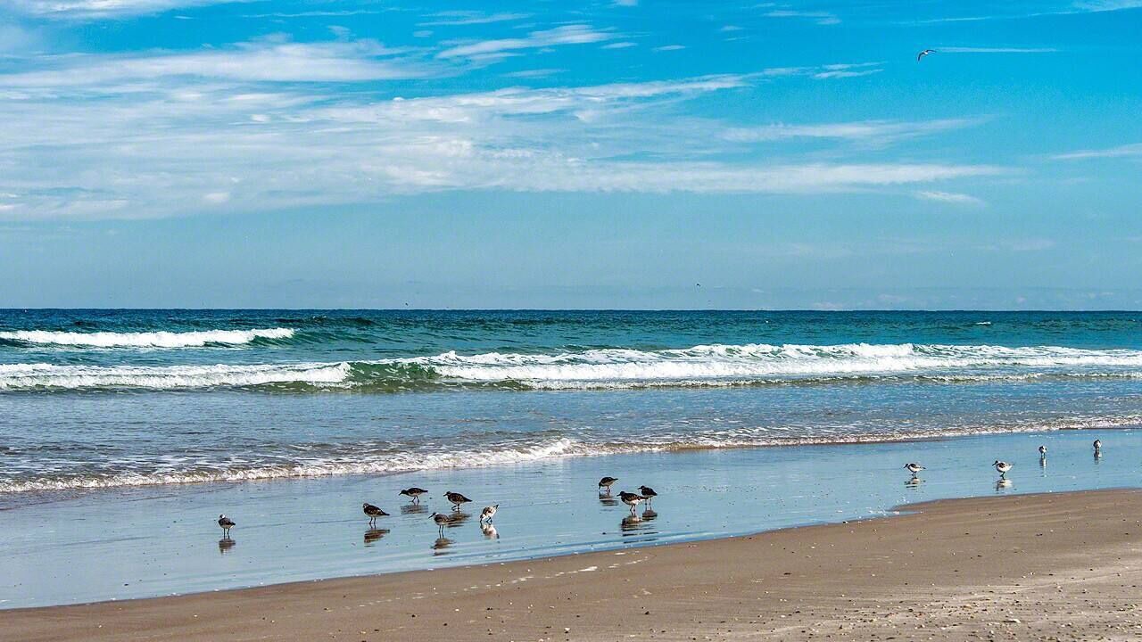 Photo of Others in New Smyrna Beach
