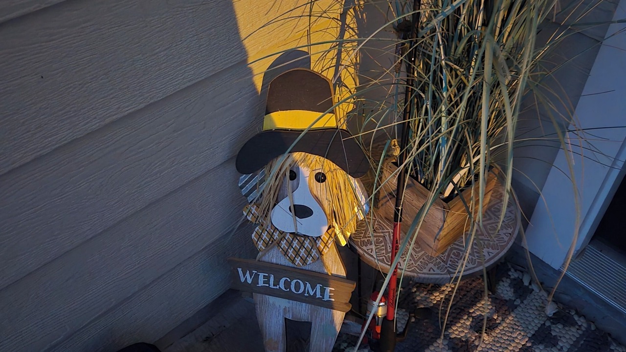Photo of Outdoor in Killian