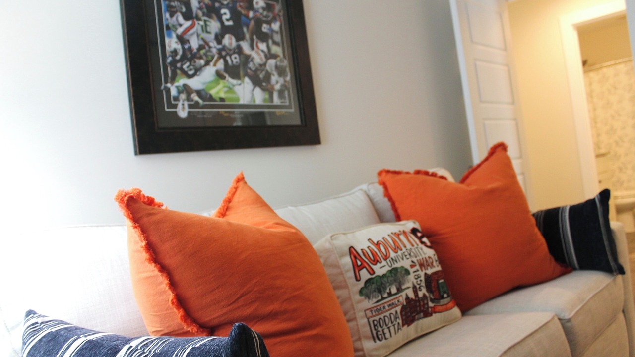 Photo of Livingroom in Auburn