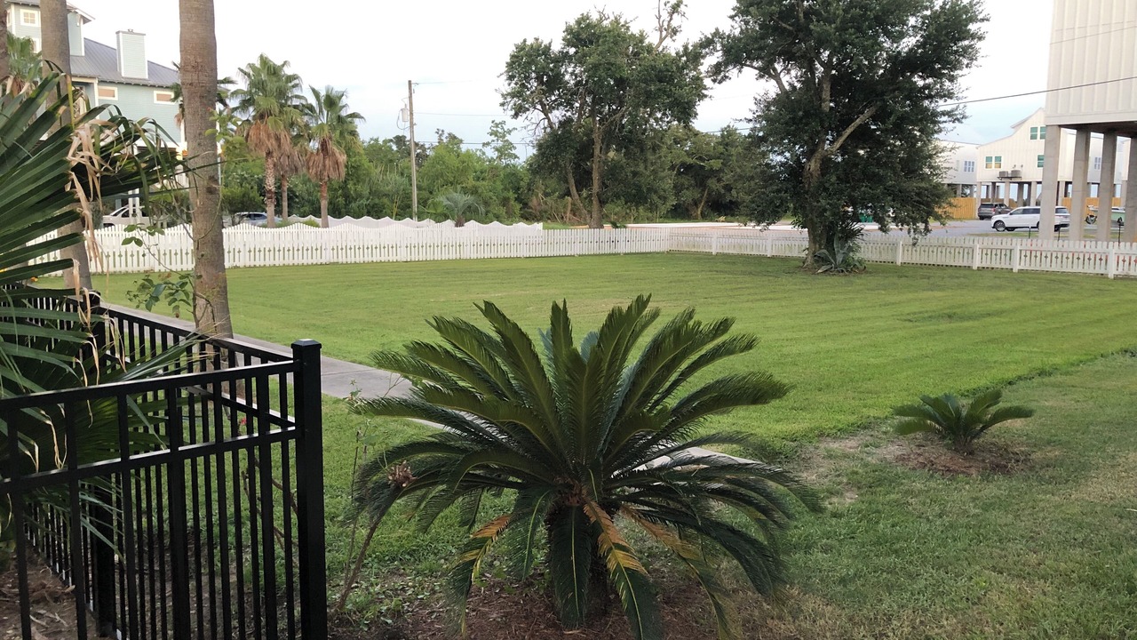 Photo of Outdoor in Henderson Point