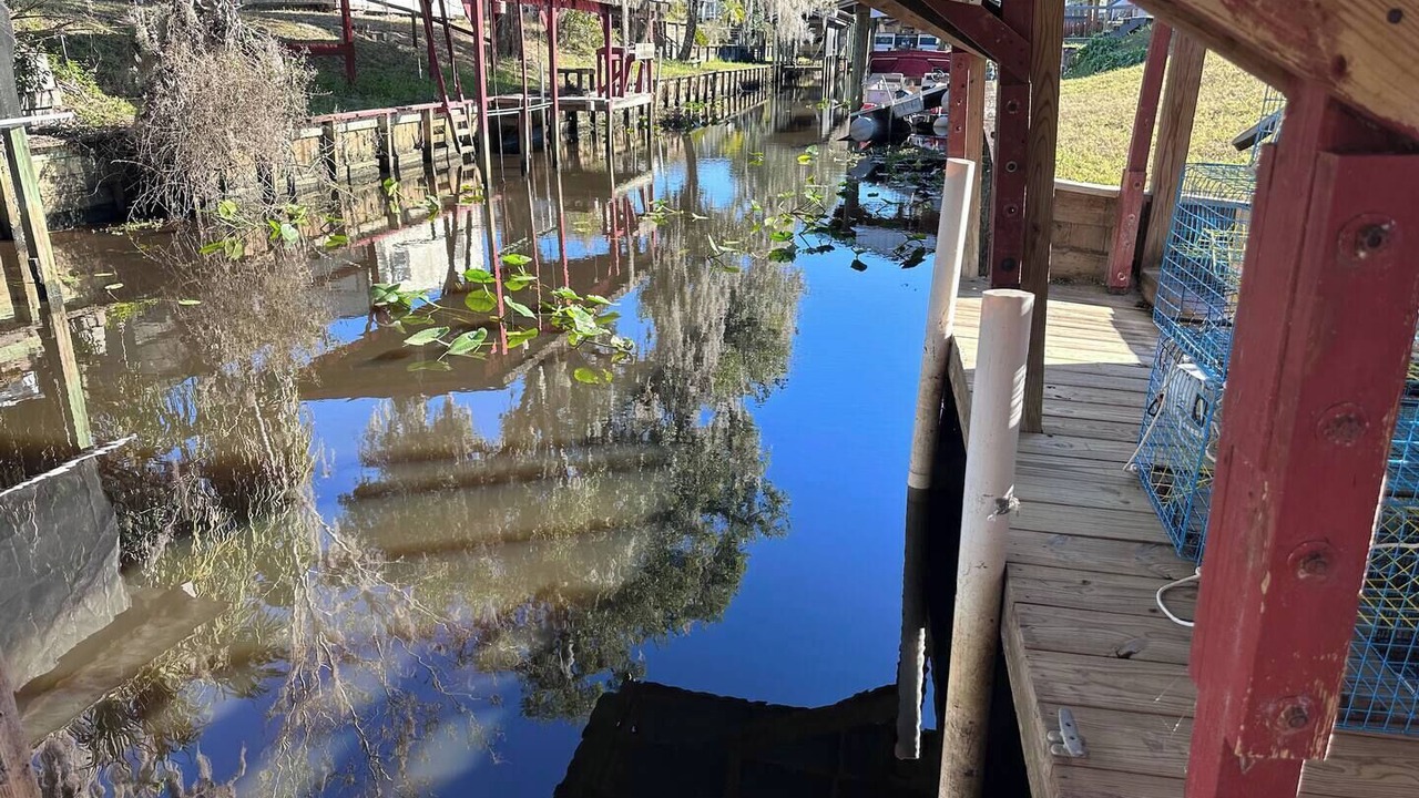 Photo of Others in Satsuma