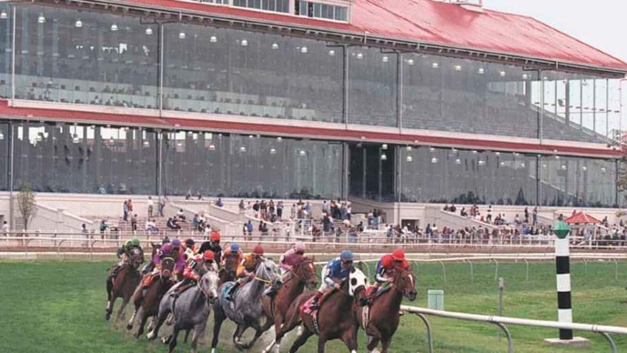 Photo of Others in Fairgrounds