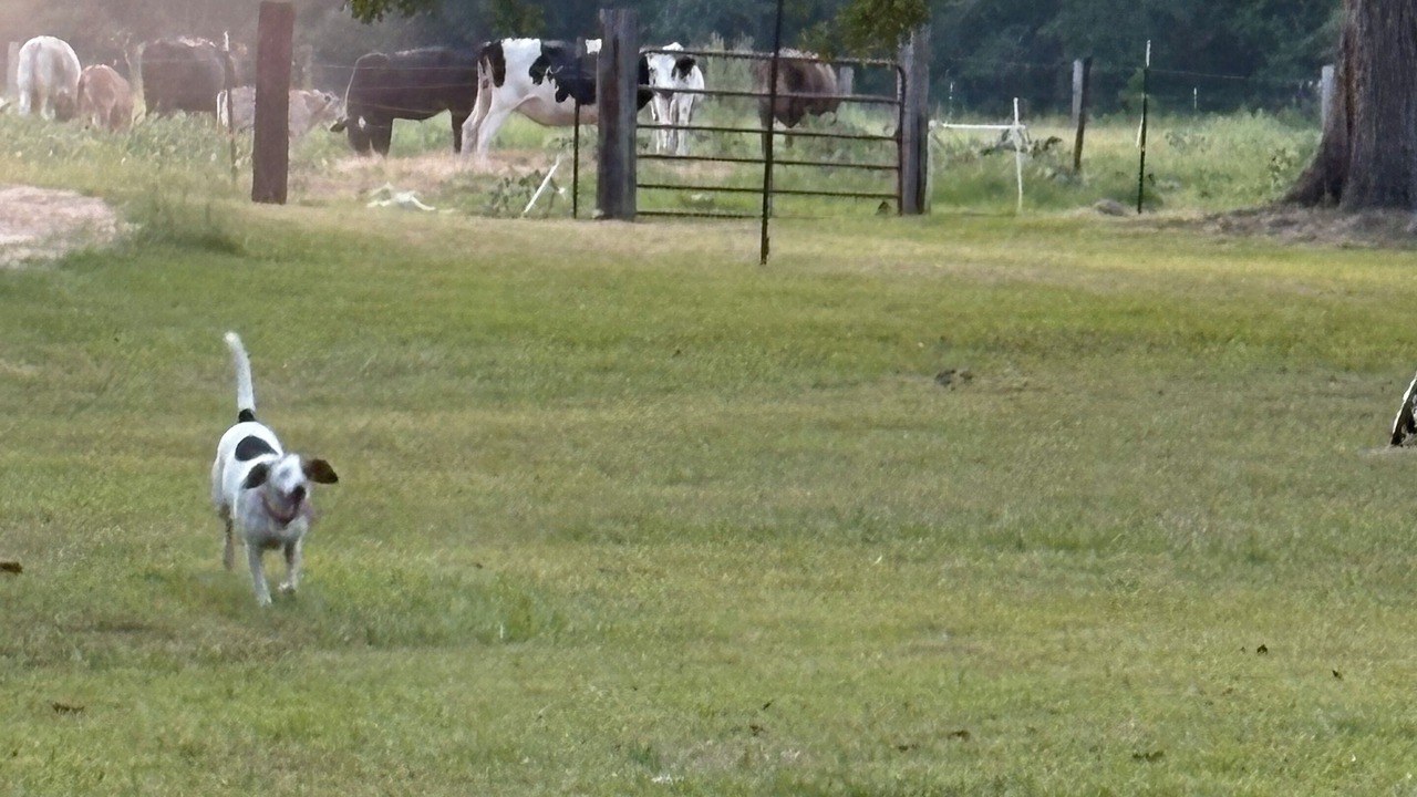 Photo of Others in Blackshear