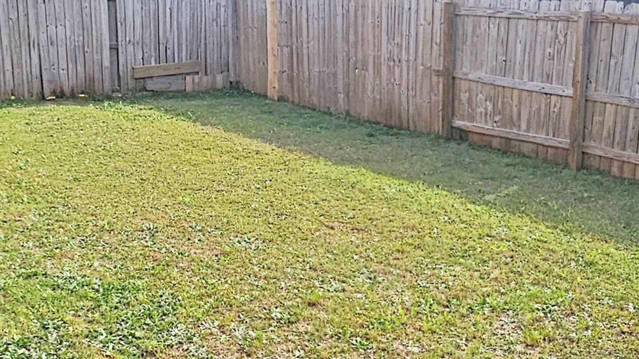 Photo of Others in Houston County