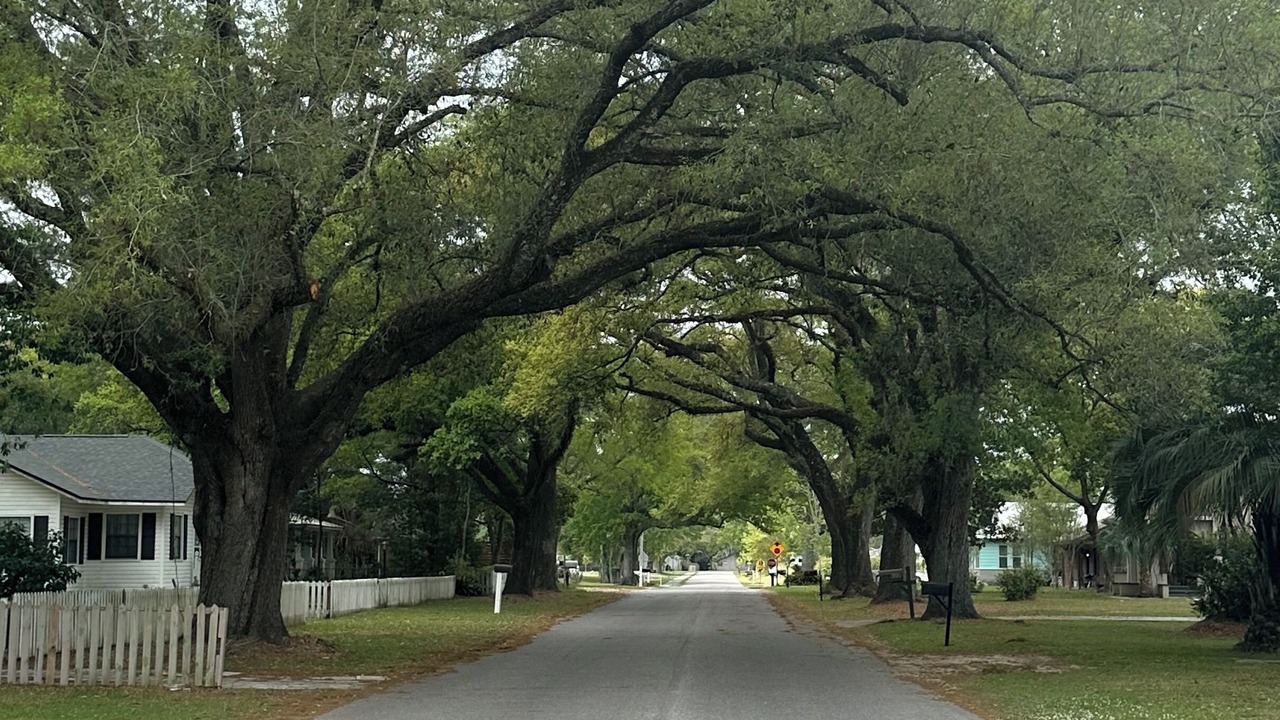 Photo of Others in Foley