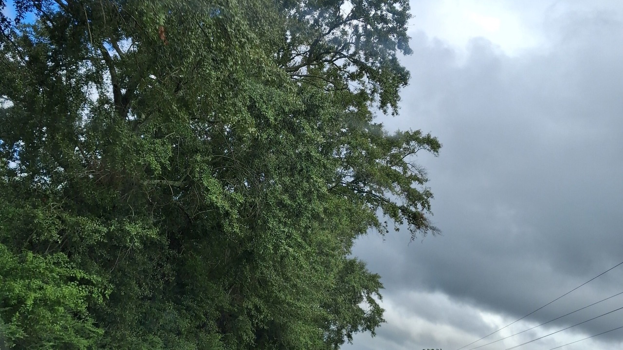 Photo of Others in Shorterville