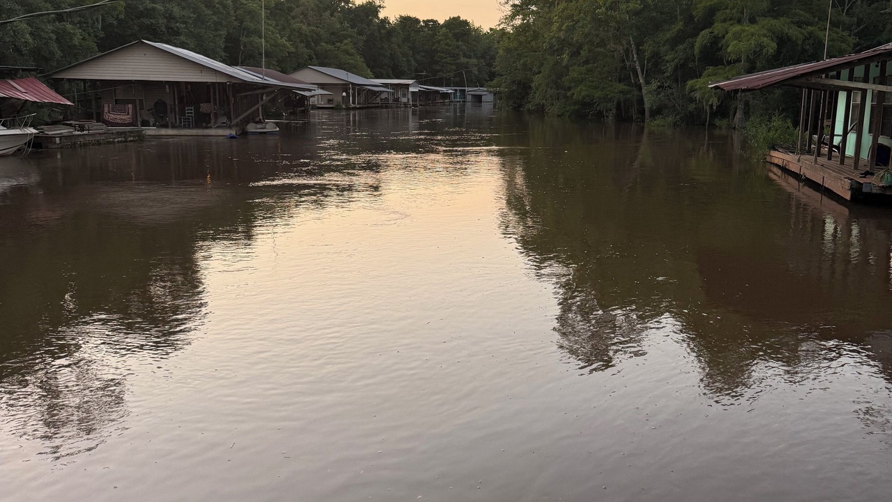 Photo of Others in Vancleave