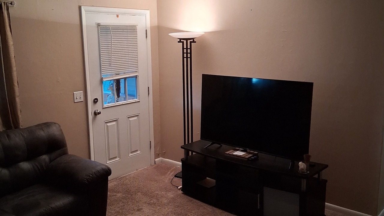 Photo of Livingroom in Geneva