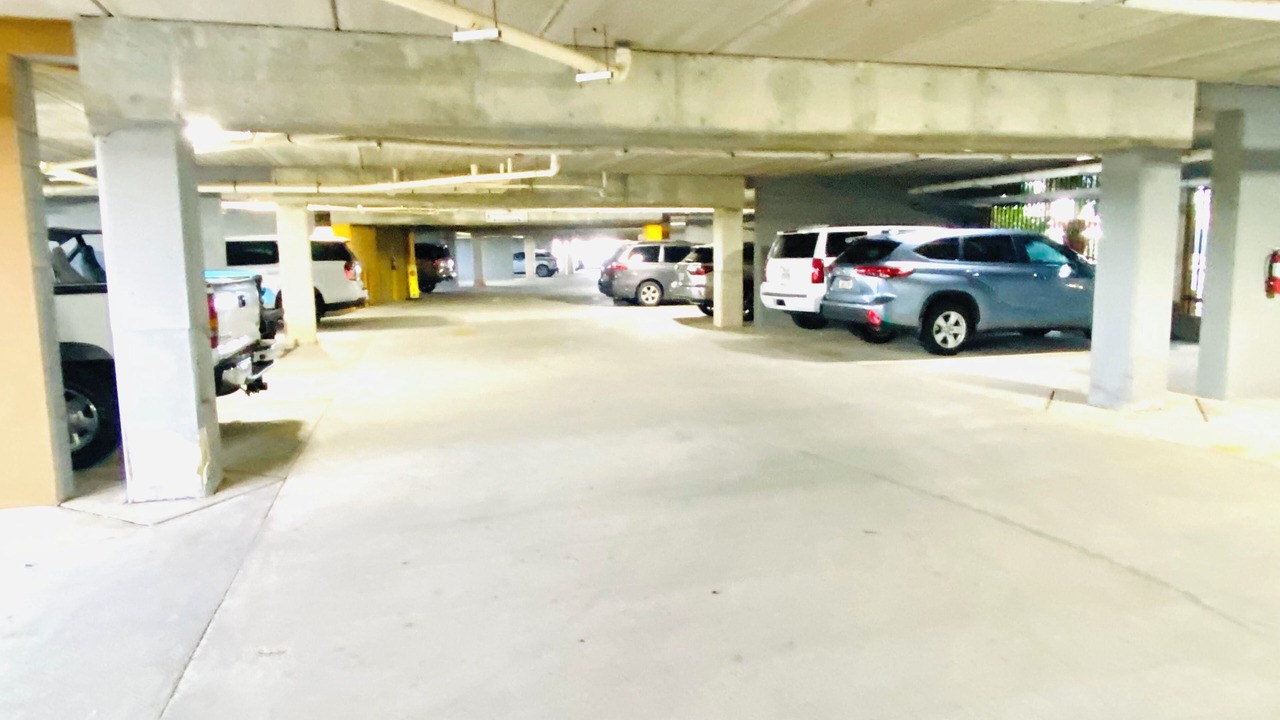 Photo of Outdoor in Henderson Point