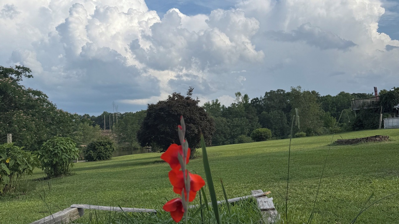 Photo of Outdoor in Mesena