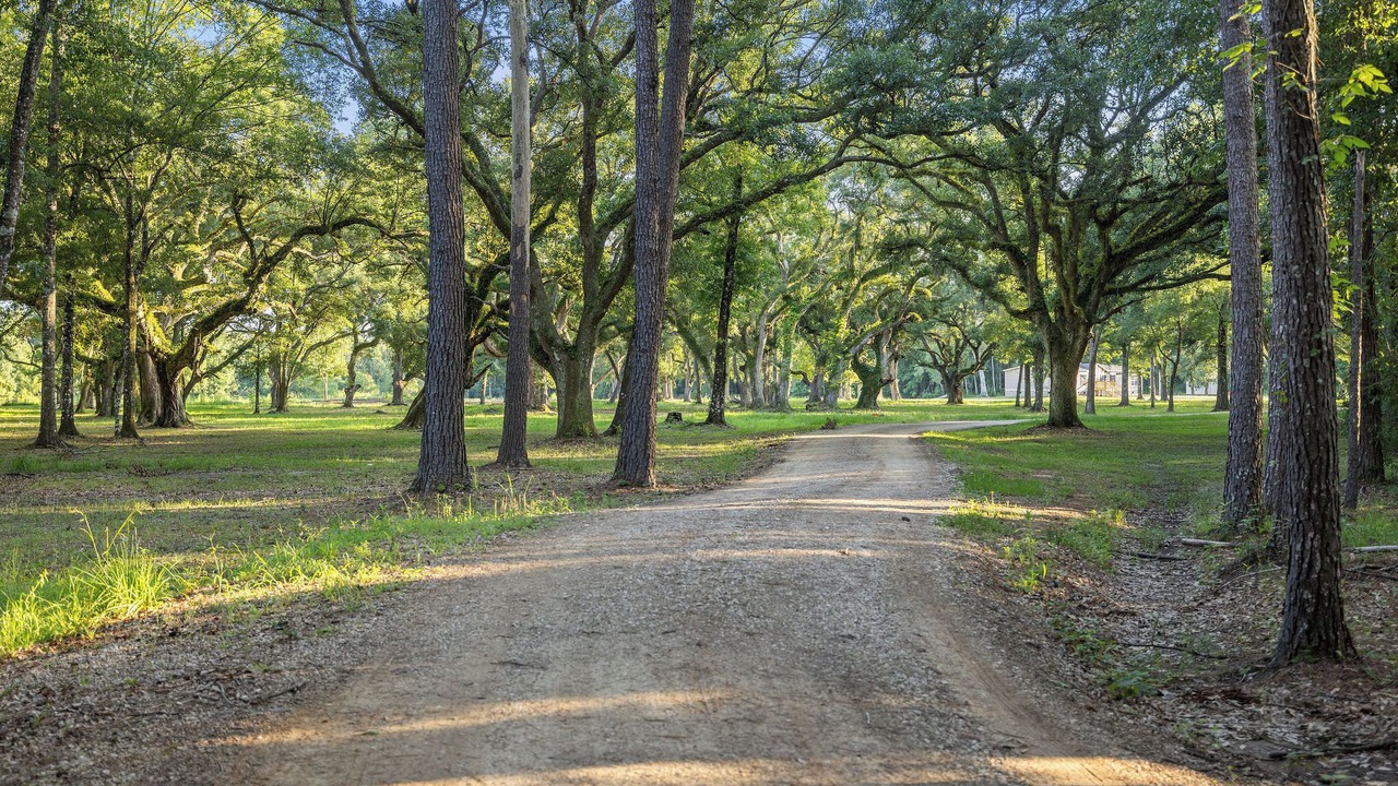 Photo of Others in Hammond