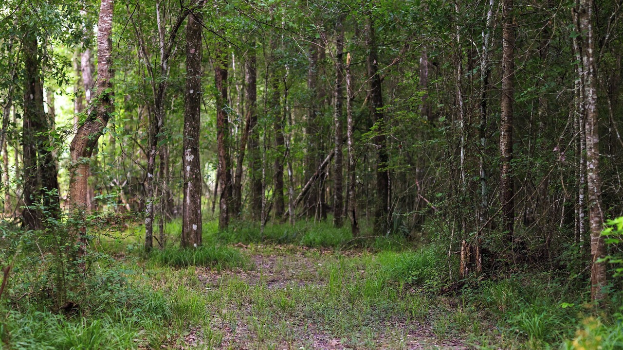 Photo of Outdoor in Hammond