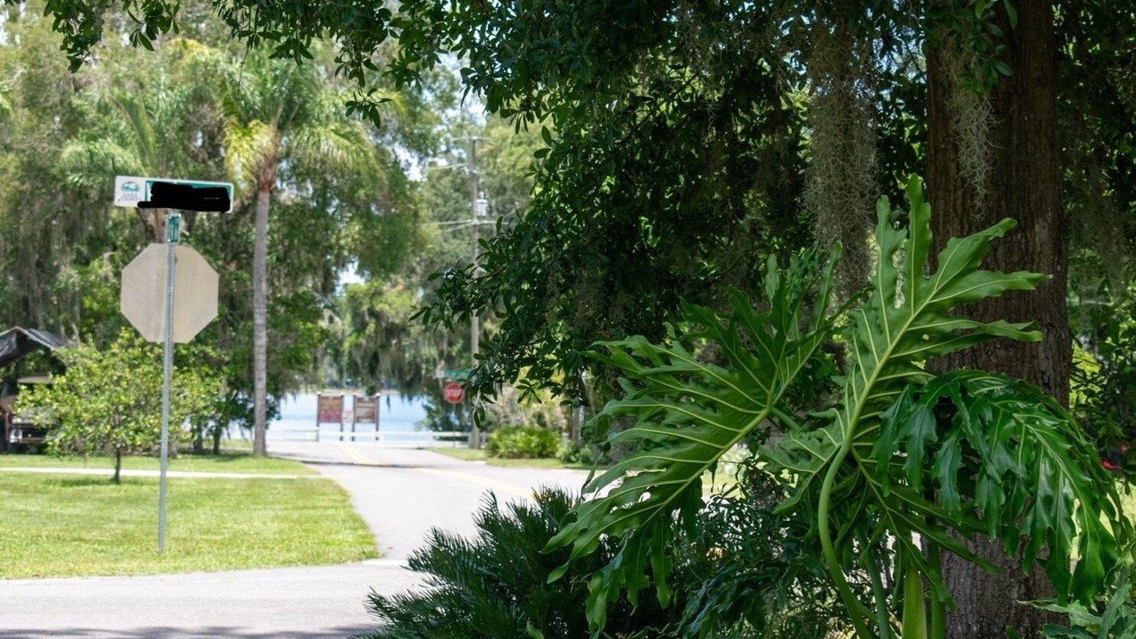 Photo of Outdoor in Eustis
