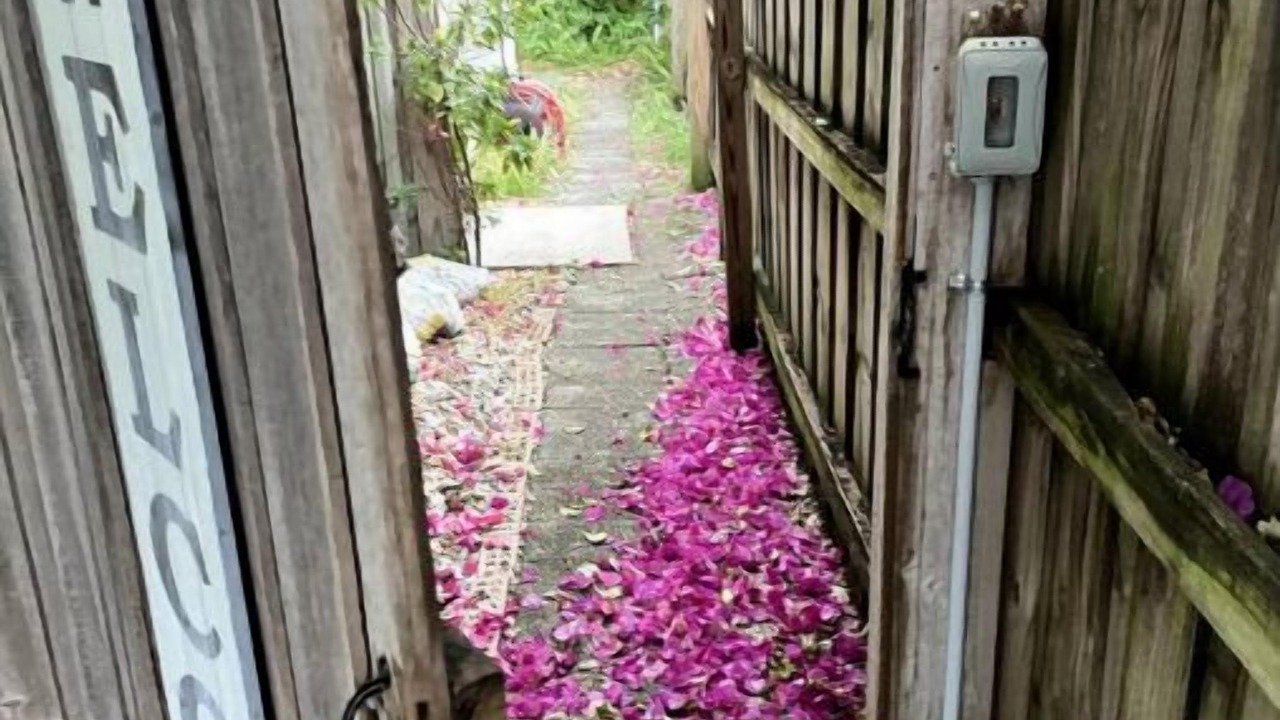 Photo of Outdoor in Colonialtown North
