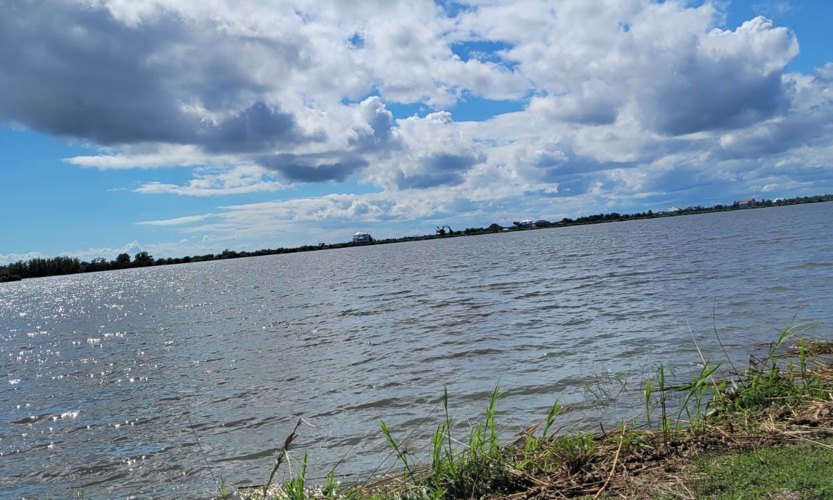 Photo of Others in Saint Tammany Parish