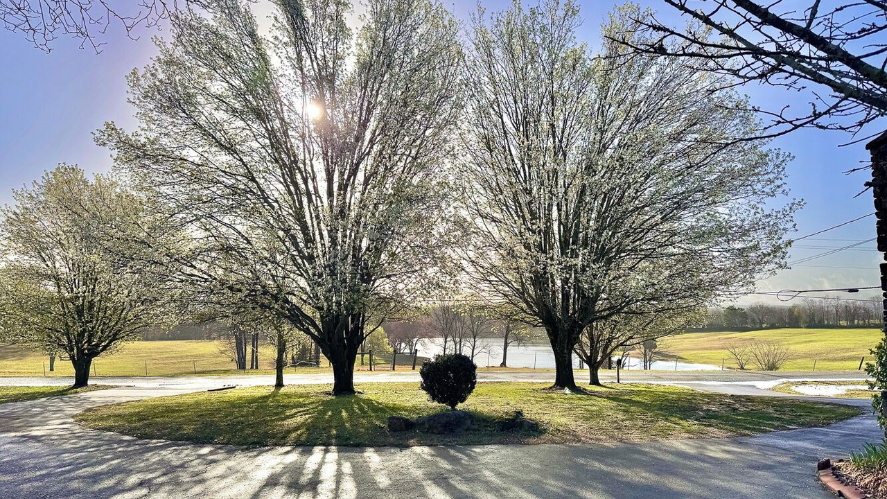Photo of Outdoor in Trenton