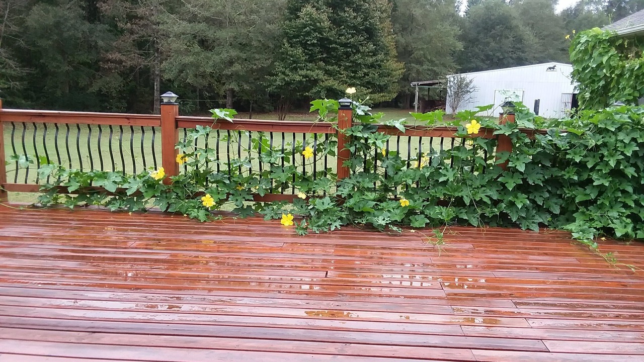 Photo of Outdoor in Covington