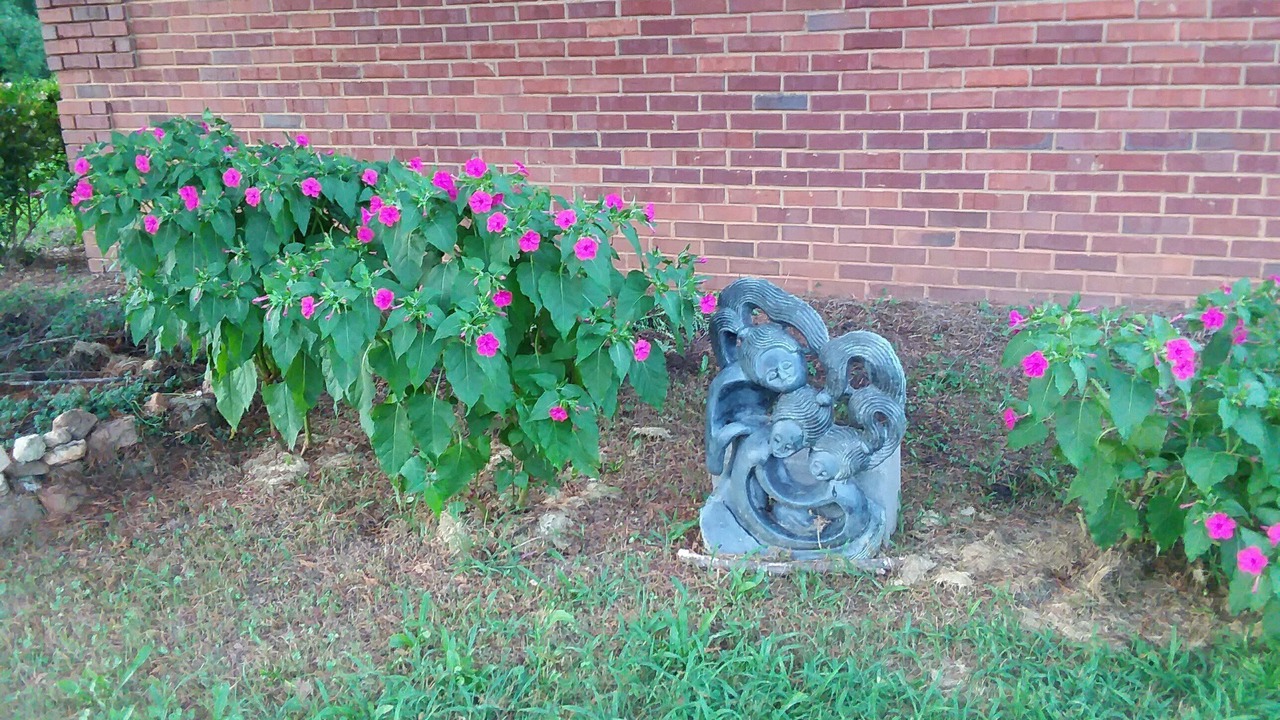 Photo of Outdoor in Covington