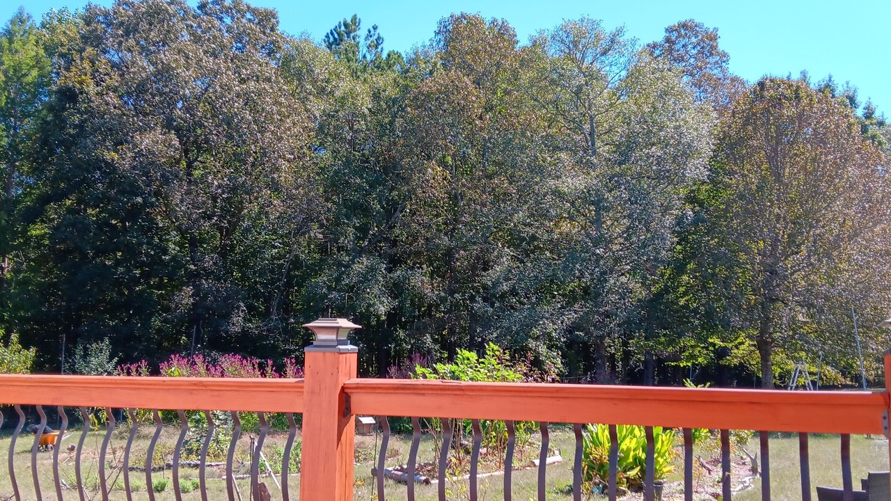 Photo of Outdoor in Covington