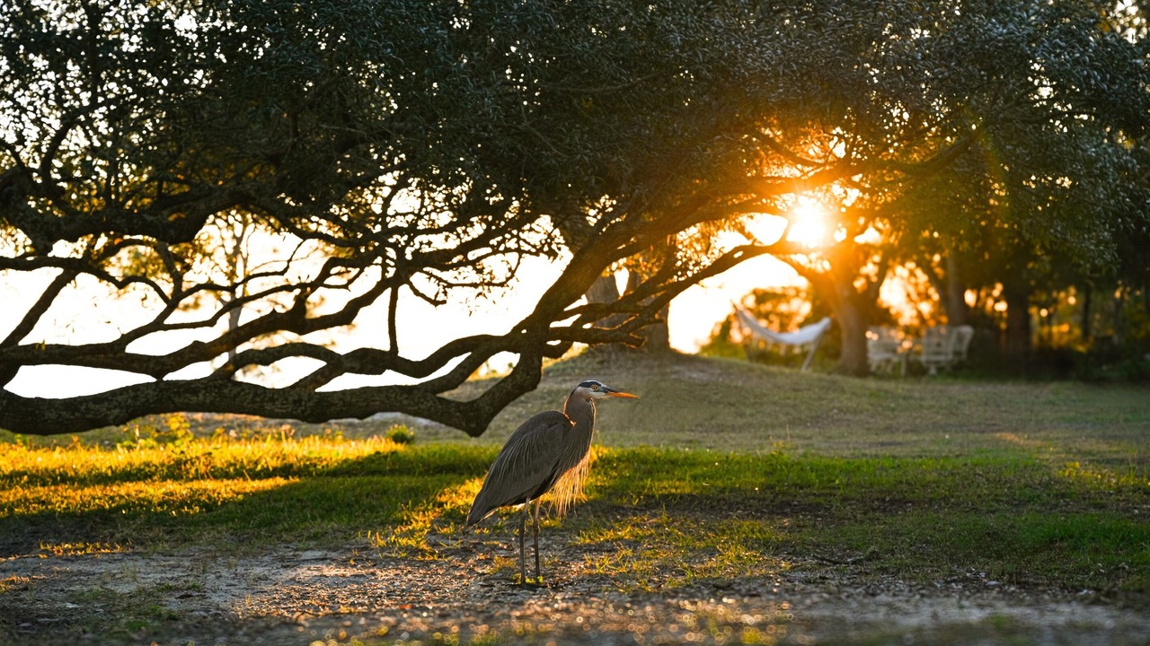 Photo of Others in Navarre