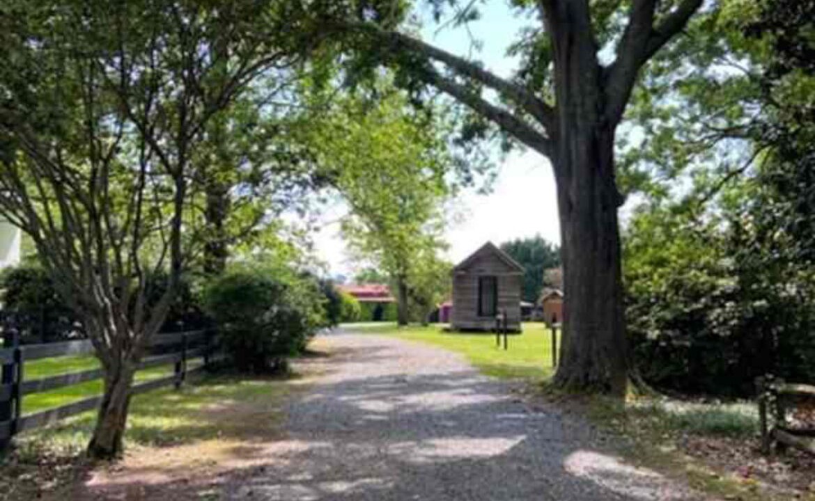 Photo of Outdoor in Griffin