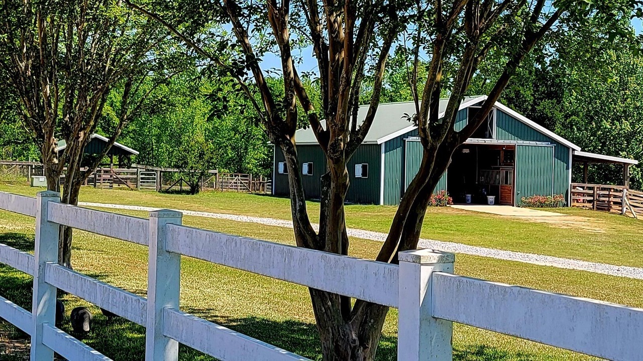 Photo of Outdoor in Molino
