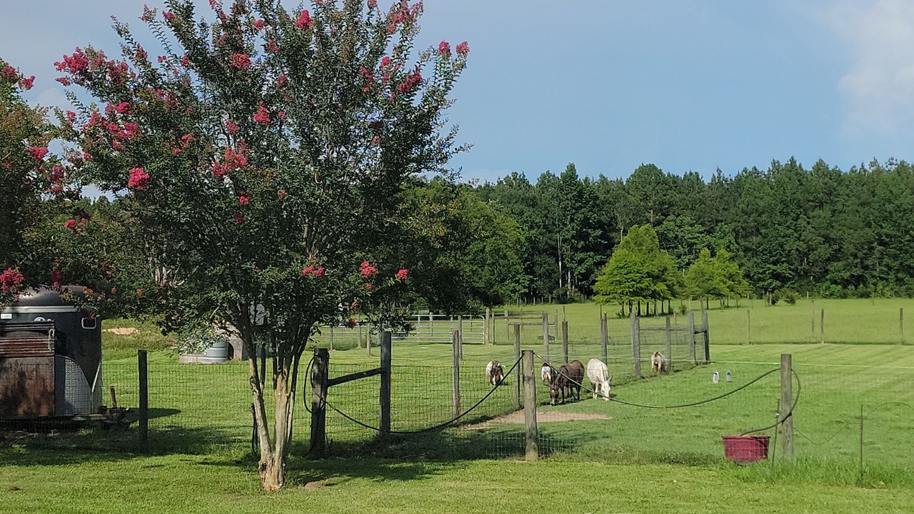 Photo of Outdoor in Molino