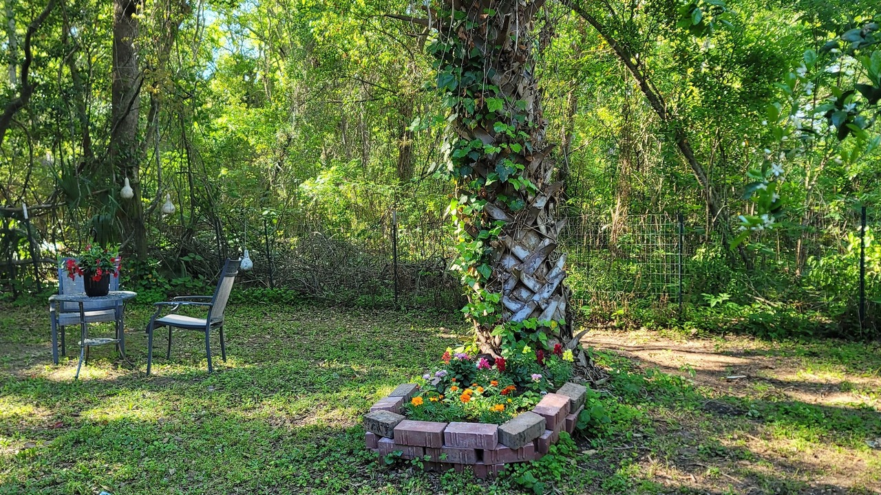 Photo of Outdoor in Grand Bay
