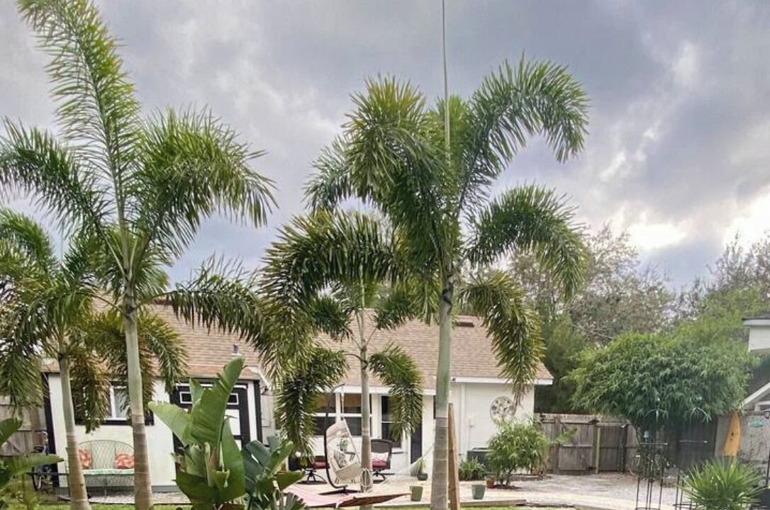 Photo of Outdoor in Mount Dora