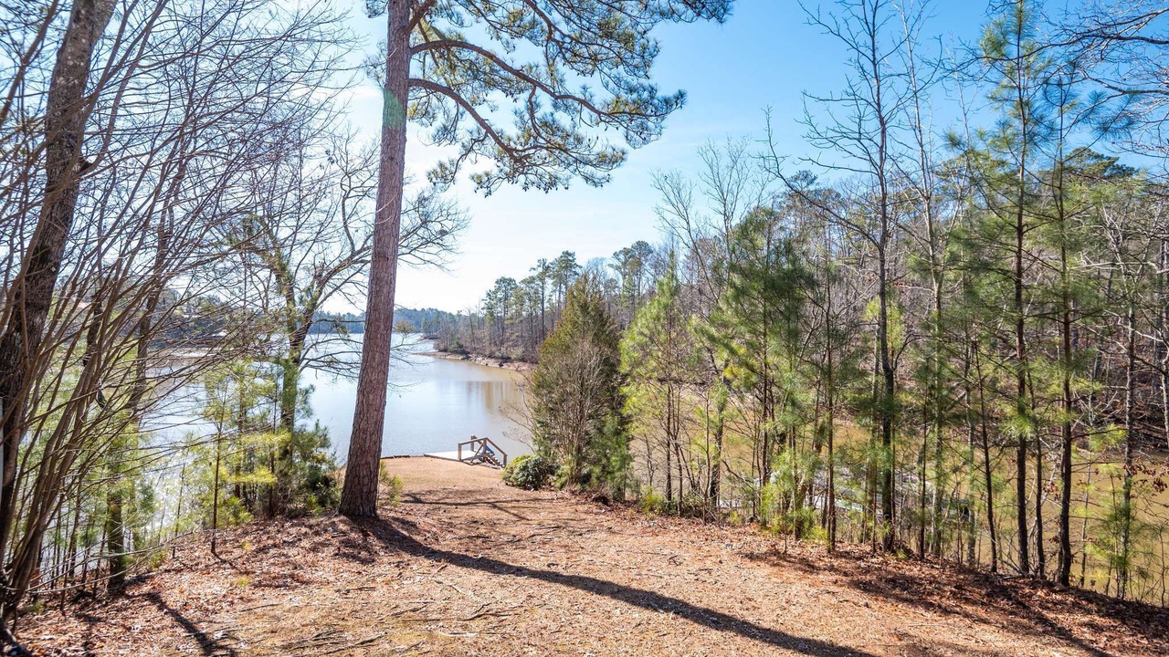 Photo of Others in Smith Mountain Estates